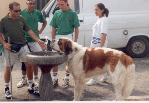CiamarraAlfredo (19).jpg